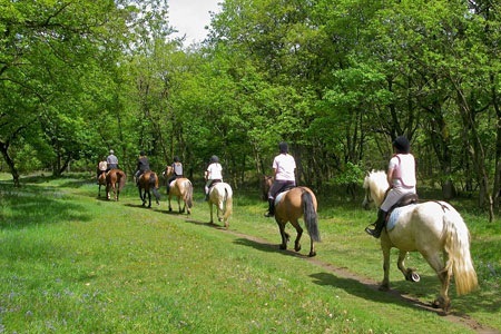 Rutas en caballo en Cantabria - Contratación paseos caballo en Cantabria